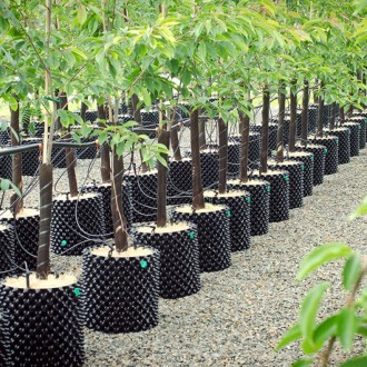 Відомі горщики для вирощування рослин Superoots Air Pot.
Вироблені в Шотландії з. . фото 4
