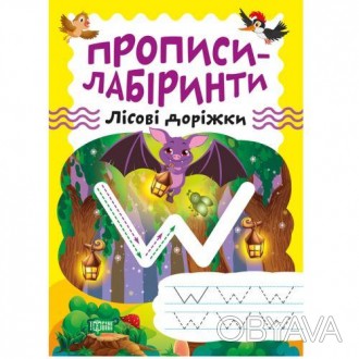 Вашій увазі запропоновано нестандартне рішення - поєднання прописів і лабіринтів. . фото 1