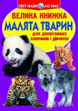 В книге популярно рассказывается о малышах различных животных, их внешний вид, о. . фото 1
