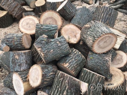 НЕ ДИСПЕТЧЕР! Продам дрова дубовые,сухостой 50/50, чурки-1000грн/складометр и ко. . фото 1