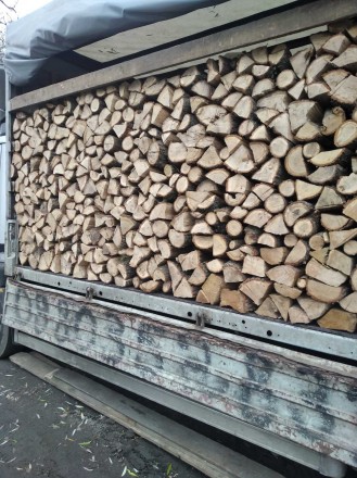 Пропонуємо дрова з доставкою в Києві та Київській обл.

Дуб, граб
Колоті 1900. . фото 7