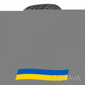 245/45 R19 Kapsen IceMax RW501 102H Легкова шина