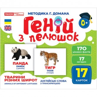 Геній з пелюшок Тварини різних широт Демонстраційний матеріал Ранок. Харьков. фото 1 Геній з пелюшок Тварини різних широт Демонстраційний матеріал Ранок. Харьков. фото 1