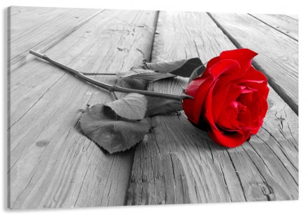 Характеристики
 
	
	
	Категории
	Червона троянда
	
	
	Кол-во частей
	1
	
	
	Крас. . фото 2