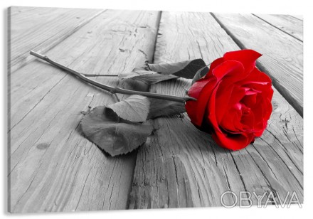 Характеристики
 
	
	
	Категории
	Червона троянда
	
	
	Кол-во частей
	1
	
	
	Крас. . фото 1