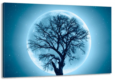 Характеристики
 
	
	
	Категории
	Дерево в місяці
	
	
	Кол-во частей
	1
	
	
	Крас. . фото 2