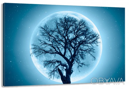 Характеристики
 
	
	
	Категории
	Дерево в місяці
	
	
	Кол-во частей
	1
	
	
	Крас. . фото 1