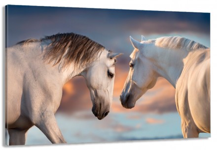 Характеристики
 
	
	
	Категории
	
 Пара конів
	
	
	
	Кол-во частей
	1
	
	
	Краск. . фото 2