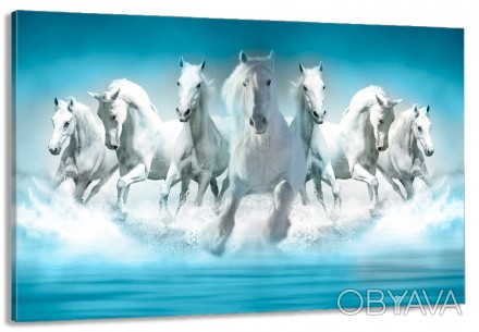 Характеристики
	
	
	Категорії
	
	Білі коні 
	
	
	
	Кол-во частин
	1
	
	
	Краска
. . фото 1