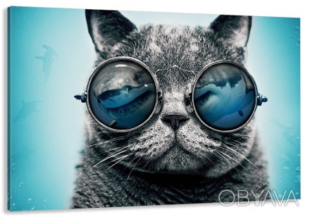 Характеристики
 
	
	
	Категории
	
	Кіт в окулярах
	
	
	
	Кол-во частей
	1
	
	
	К. . фото 1