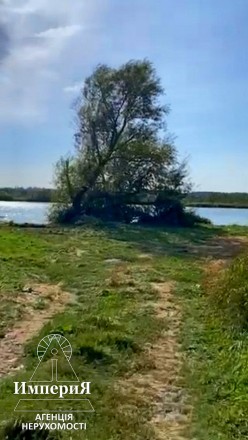 Продам земельный участок с прямым выходом к речке в селе Шамраевка. 20 км. от Бе. . фото 5