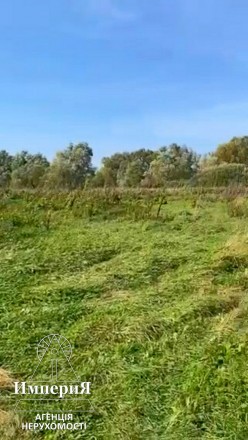 Продам земельный участок с прямым выходом к речке в селе Шамраевка. 20 км. от Бе. . фото 12