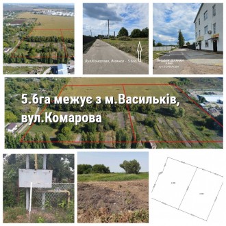 ПРОДАЖ,  Ділянкa- 5.6га межує з м.Васильків, вул. Комарова. Васильков. фото 1