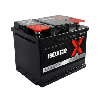 BOXER (555 80) (L2) 60Ah 520A R+. . фото 4