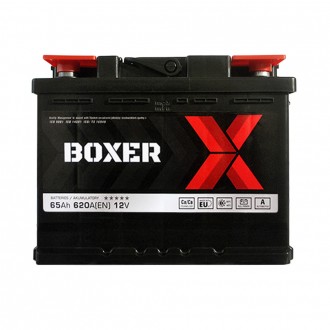 BOXER (565 81) (L2) 65Ah 620A L+. . фото 2