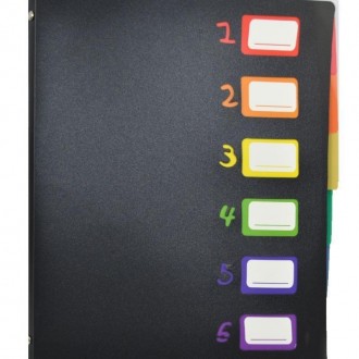 Папка пластиковая формата А4 на 6 отделений с разноцветными индексами.. . фото 2
