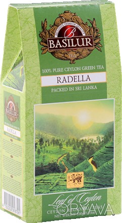 
	Раделла – это классический зеленый цейлонский чай. Он выращивается в живописно. . фото 1
