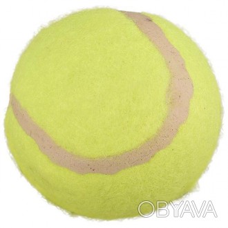 Мяч – любимая игрушка для собак всех пород. И лучше мяча может быть только новый. . фото 1
