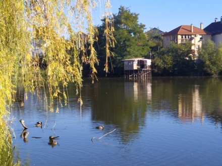 Продається будинок на самому березі озера :лебеді, качки, озеро зарибленне, бунг. . фото 7
