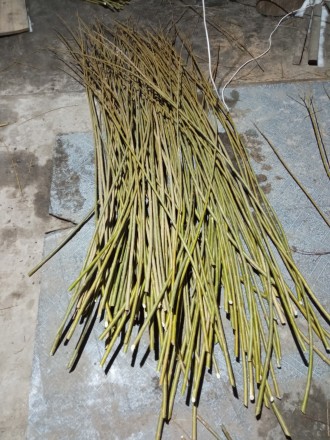 Ивовый прут,лоза для декоративно плетения.
Материал есть в наличии и под заказ.. . фото 5