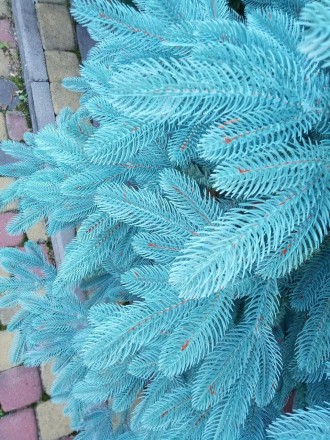 Премиум голубая 2.1м литая елка искусственная ель литая
Мы предлагаем искусствен. . фото 9