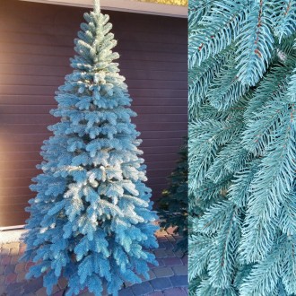 Элитная голубая 1.8м литая елка искусственная ель литая 
Мы предлагаем искусстве. . фото 9