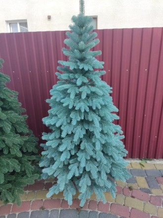 Элитная голубая 1.5м литая елка искусственная ель литая
Мы предлагаем искусствен. . фото 2