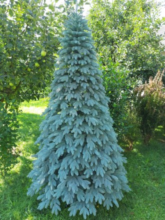 Швейцарская голубая 2.3м литая елка искусственная ели литые
Мы предлагаем искусс. . фото 4