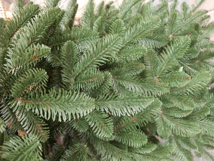 Канадская зеленая 2.1м литая елка искусственная ели литые
Мы предлагаем искусств. . фото 5