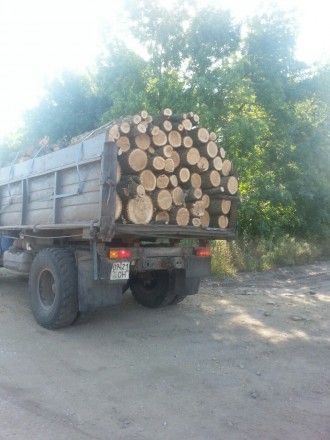 Продам дрова твердых пород с доставкой (.ЗИЛ 130 колхозник) метровые,рубаные  (д. . фото 3