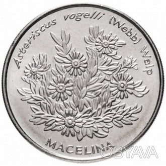 Кабо-Верде 50 эскудо, 1994 Растения - Asteriscus vogelli  №507