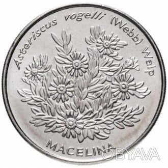 Кабо-Верде 50 эскудо, 1994 Растения - Asteriscus vogelli №507. . фото 1