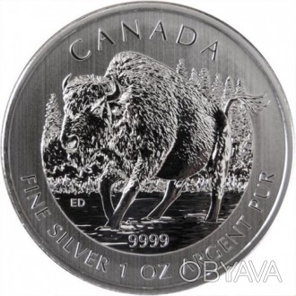 Канада › Королева Елизавета II 5 долларов, 2013 Канадская Фауна - Бизон серебро