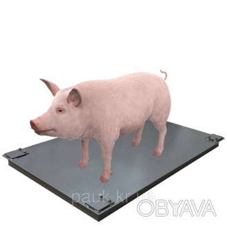 Ваги для тварин 1500х1000 мм, платформа для зважування худоби, ваги для свиней б