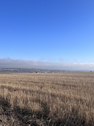 Продаж ділянки у селі Вапнярка, Одеської області, над лиманом і поруч з морем. 
. . фото 5