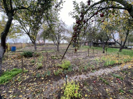 Продається земельна ділянка (дача) в садовому товаристві Авіатор в с. Іванковичі. . фото 3
