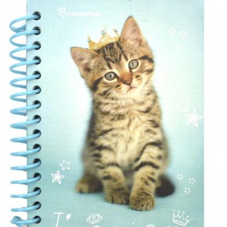 Блокнот Kite в картонной обложке с красочным изображением кота. Блокнот скреплен. . фото 2