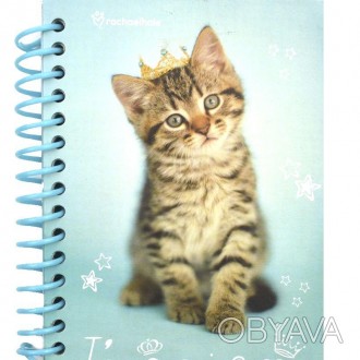 Блокнот Kite в картонной обложке с красочным изображением кота. Блокнот скреплен. . фото 1