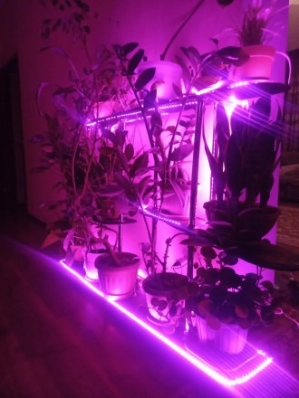 Название продукта: USB-лента для продолжение светового дня выращивания растений
. . фото 3