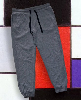 Чоловічі спортивні штани-джоггери livergy Німеччина. Теплі із начосом. Дві бічні. . фото 2