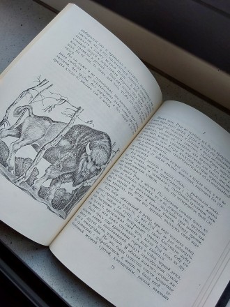 Пять дней из жизни черепахи Феликс Лев 1980 год Детская литература. Пересылка пр. . фото 6