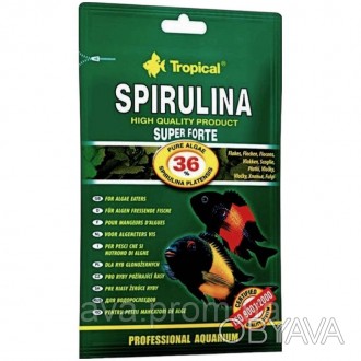 Пластівний корм Super Spirulina FortePlant з високим (36%) вмістом водоростей Sp. . фото 1