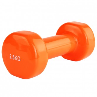 Stein Vinyl Dumbbell 2,5 kg
 
Вінілова гантель 2,5 кг — для дому та фітнес-клубі. . фото 3