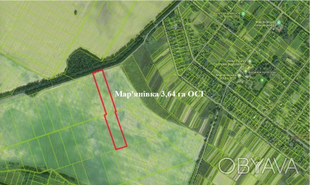 Продам ділянку 3,64 га ОСГ в с.Мар'янівка. Ділянка знаходиться поруч з село. . фото 1