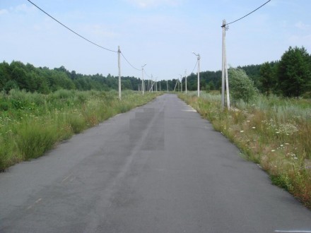 Продаються земельні ділянки в селі Глибоке Бориспільського району. Всього 8 діля. . фото 8