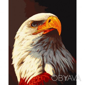 Картина по номерам "Орел" Art Craft 11678-AC 40х50 см. . фото 1 Раскраски по номерам стремительно набрали популярность. Это отличный инструмент . . фото 1