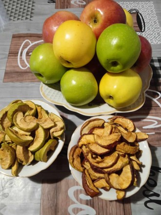 Яблучна сушка урожаю 2023 року, чіпси з яблук різних сортів (кожен сорт окремо)
. . фото 2