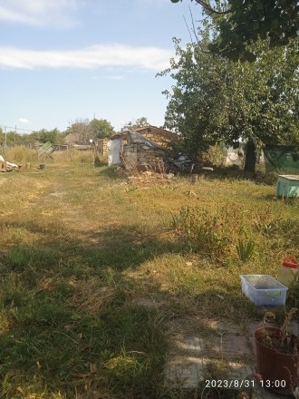 Продам будинок в затишному селі в 50 км від міста Одеси, неподалік Телигульськог. . фото 4
