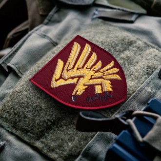 Шеврон 95 бригады - это выдающийся военный символ. Патч олицетворяет намерение с. . фото 3