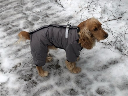 Теплий, якісно пошитий зимовий комбінезон для середніх порід собак. Розмій 3XL. . . фото 11